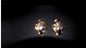 Anomi Quration: Unstoppable Confidence - Soft Gaze Earrings